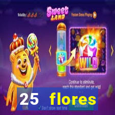 25 flores silvestres com nomes 25 flores silvestres desbravadores